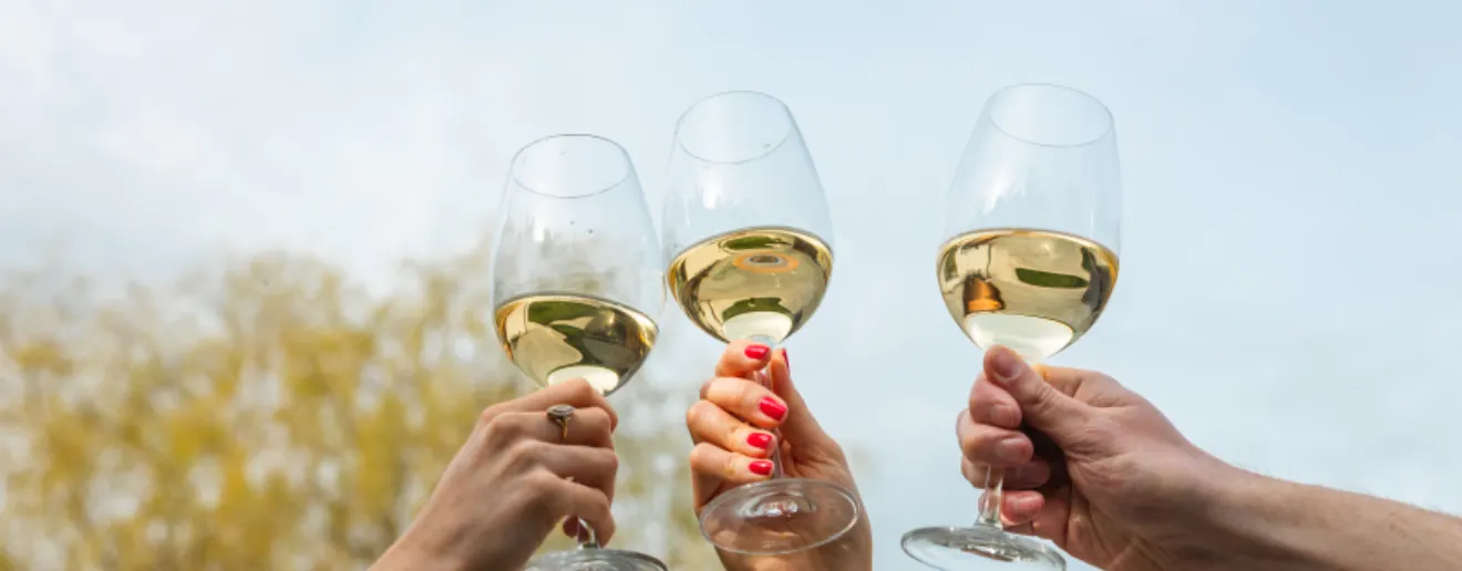 Virgin Wines