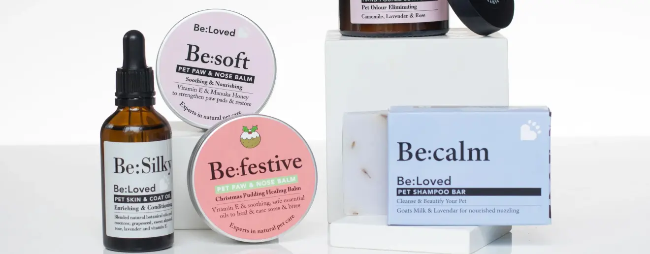 BeLoved Pet Products